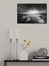 Lonely beauty Poster och Canvastavla