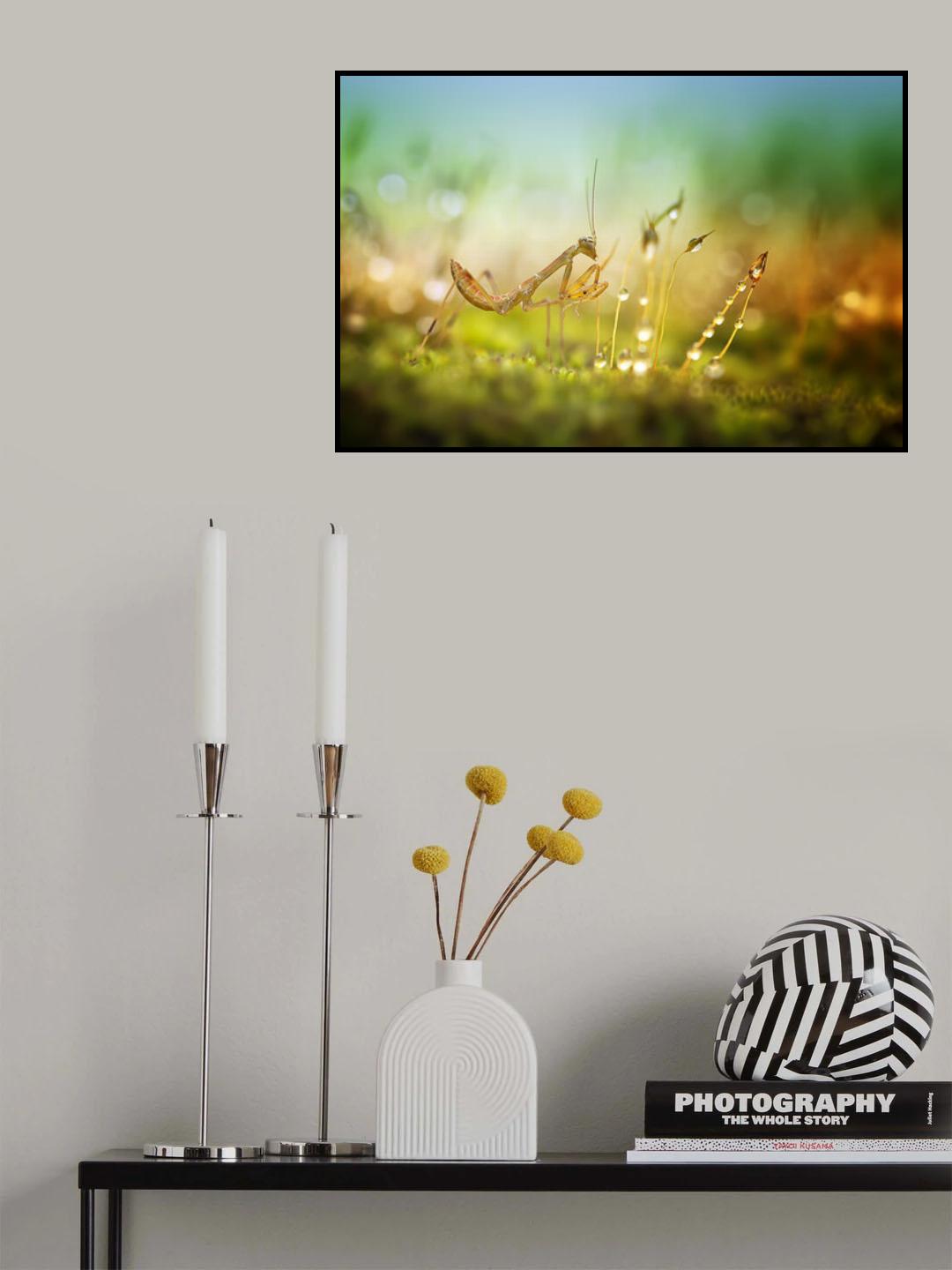 Mantis in Colorful Morning Poster och Canvastavla