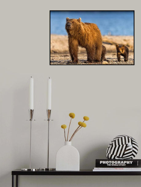Mother bear with her cubs Poster och Canvastavla