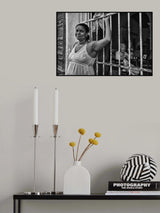 s/t Poster och Canvastavla