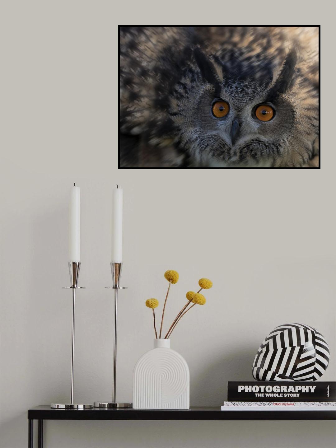 Owl's Eye Poster och Canvastavla