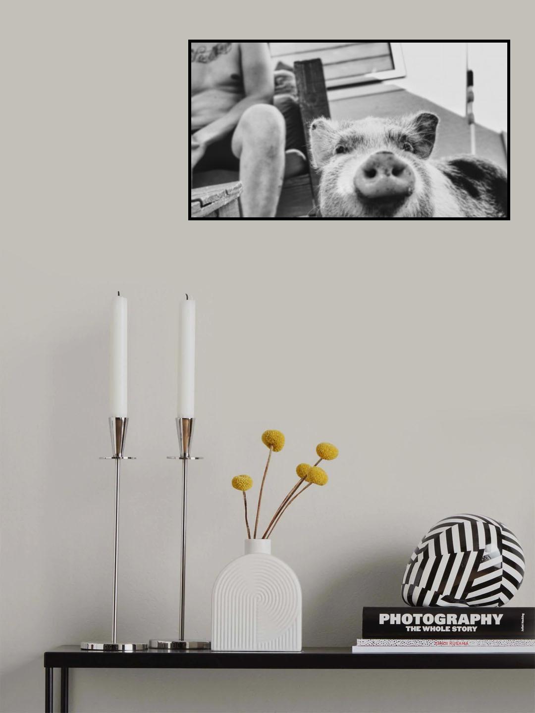 Pig. Poster och Canvastavla
