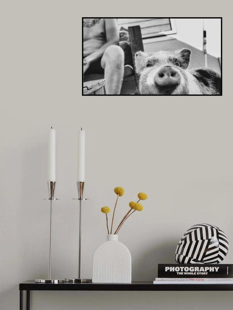 Pig. Poster och Canvastavla