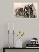 Galibier Poster och Canvastavla
