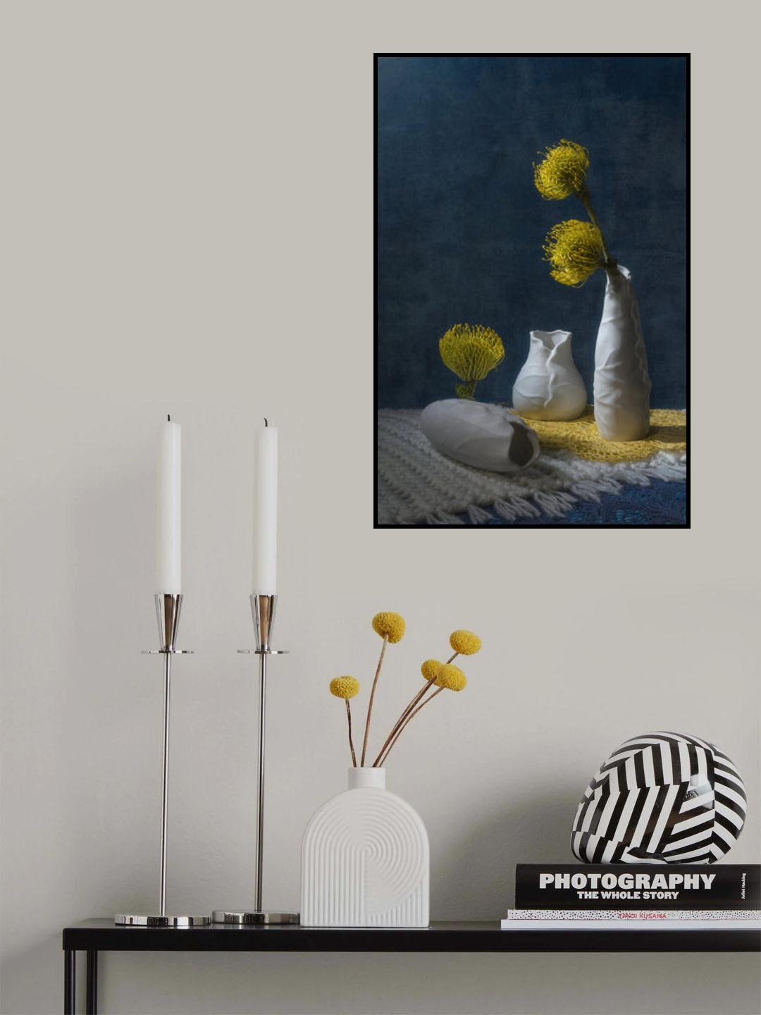 Three Leucospermums Poster och Canvastavla