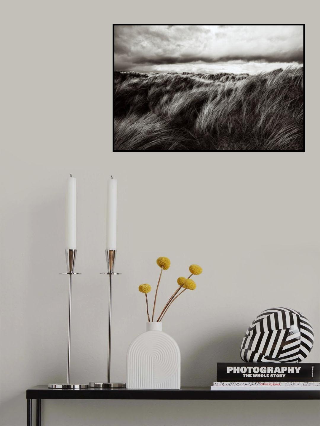 Dunes of grass Poster och Canvastavla