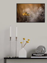 harmony Poster och Canvastavla