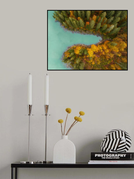 Autumn colors Poster och Canvastavla