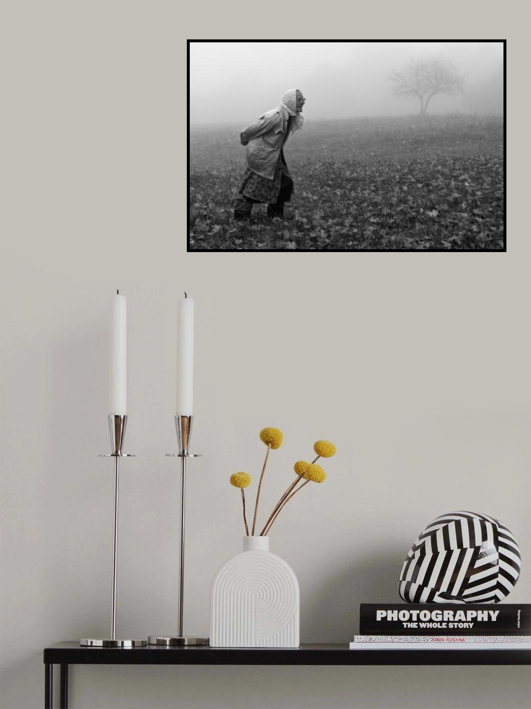 Autumn Poster och Canvastavla