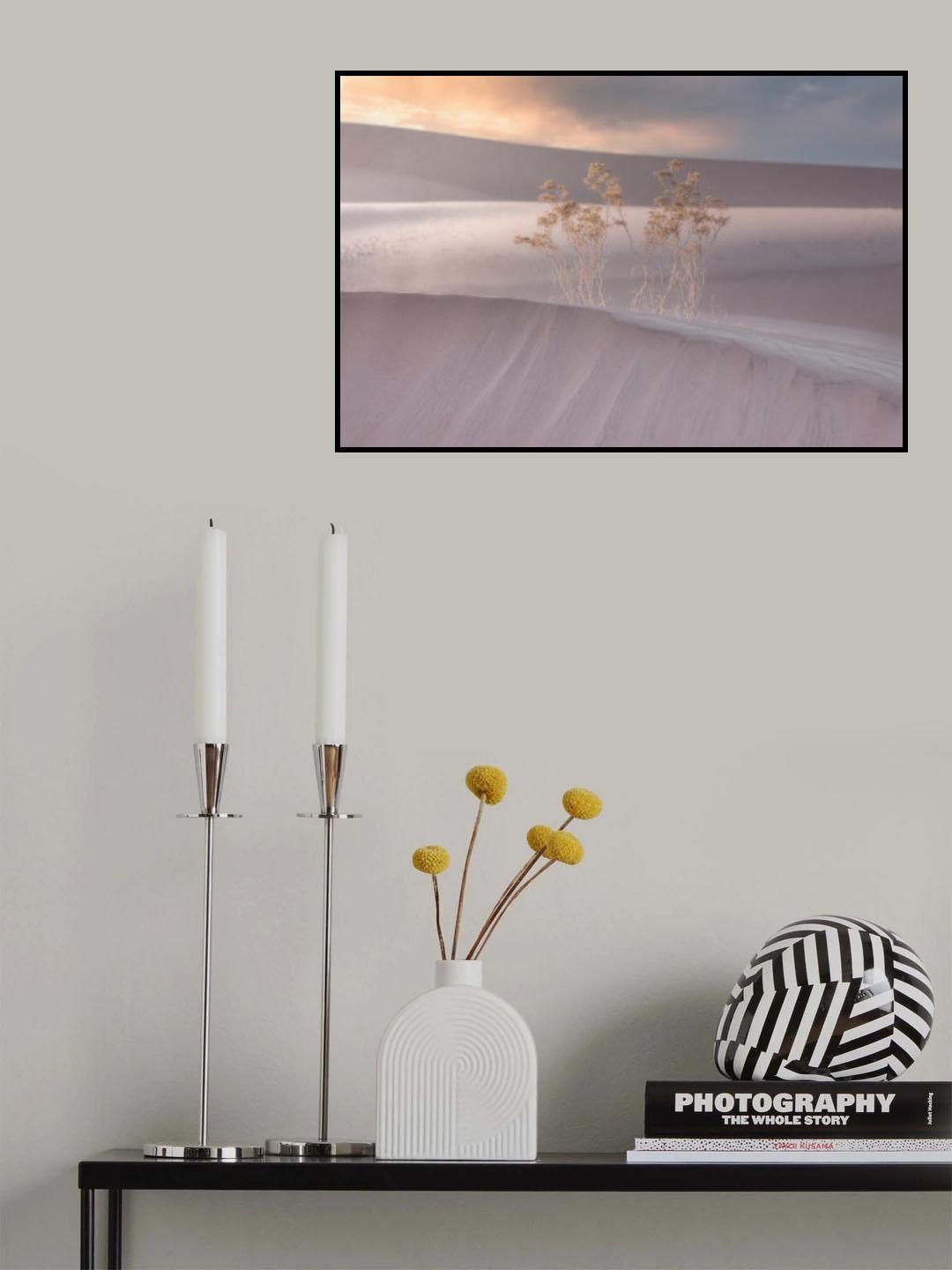 Poster och Canvastavla