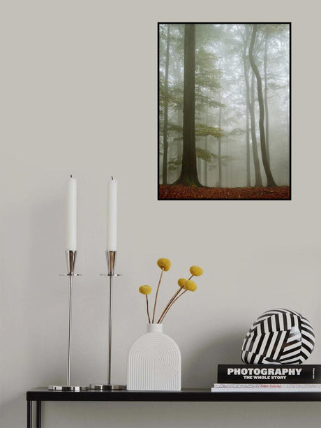 Visible Invisibility Poster och Canvastavla