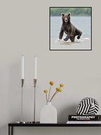 Yogi Poster och Canvastavla