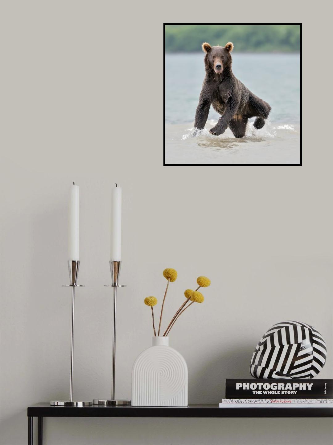 Yogi Poster och Canvastavla