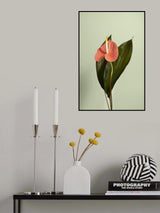 Flor Poster och Canvastavla