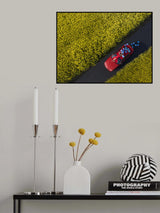 Blue Balloons Poster och Canvastavla