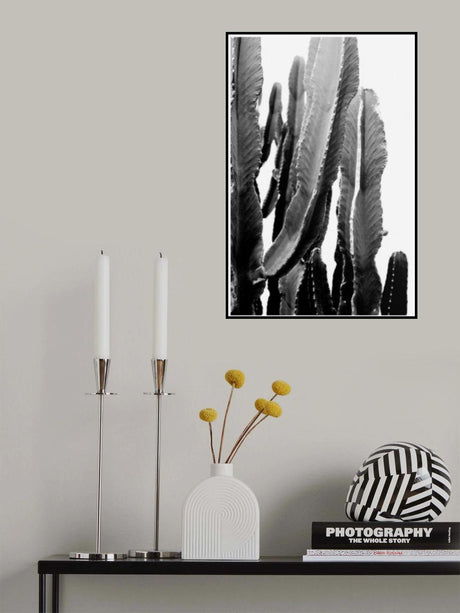 BOHO Cactus Poster och Canvastavla