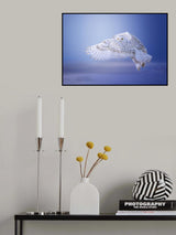 "See You Later...." Poster och Canvastavla