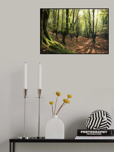Forest Love Poster och Canvastavla