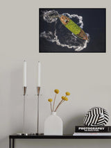 Boats of watermelons Poster och Canvastavla