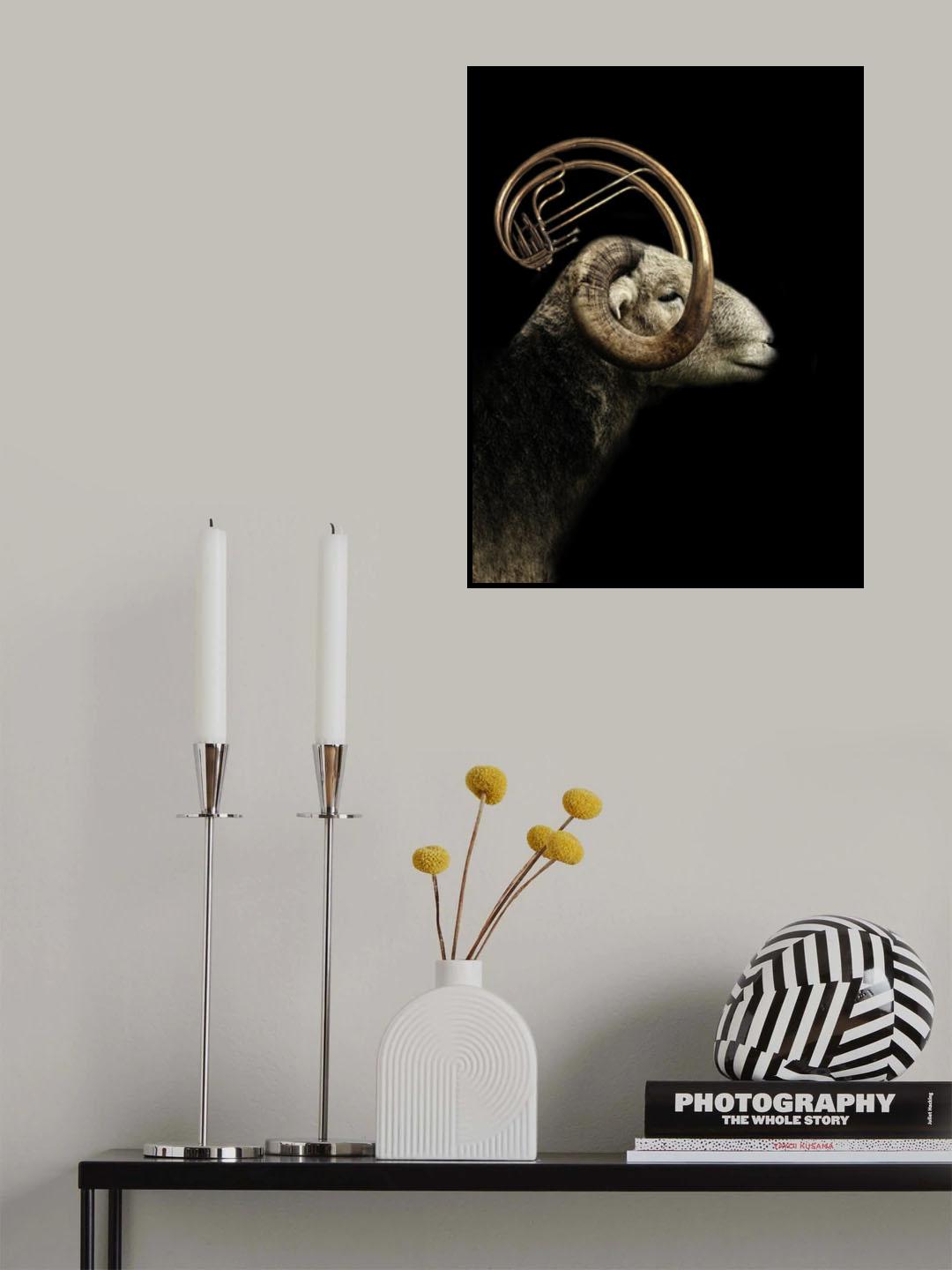 big horn sheep Poster och Canvastavla
