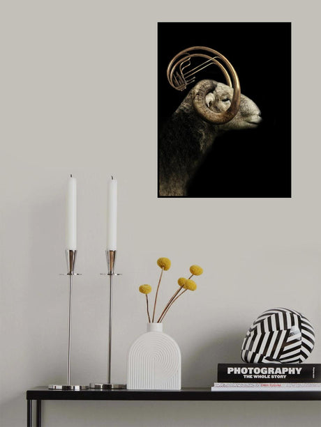 big horn sheep Poster och Canvastavla