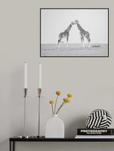 Giraffe affection Poster och Canvastavla
