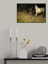 on the pink garden Poster och Canvastavla