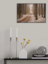 Red Pine Forest Poster och Canvastavla