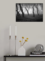 pine Poster och Canvastavla