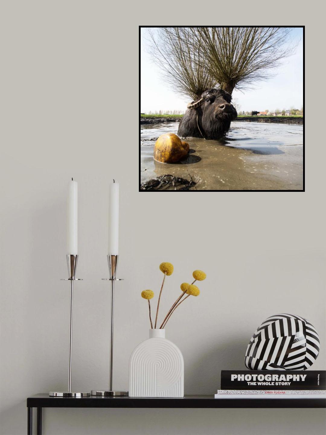 Do you like my new antler? Poster och Canvastavla