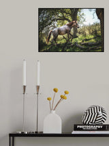 Hillside Horse Poster och Canvastavla