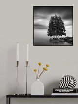 Sweden landscape Poster och Canvastavla
