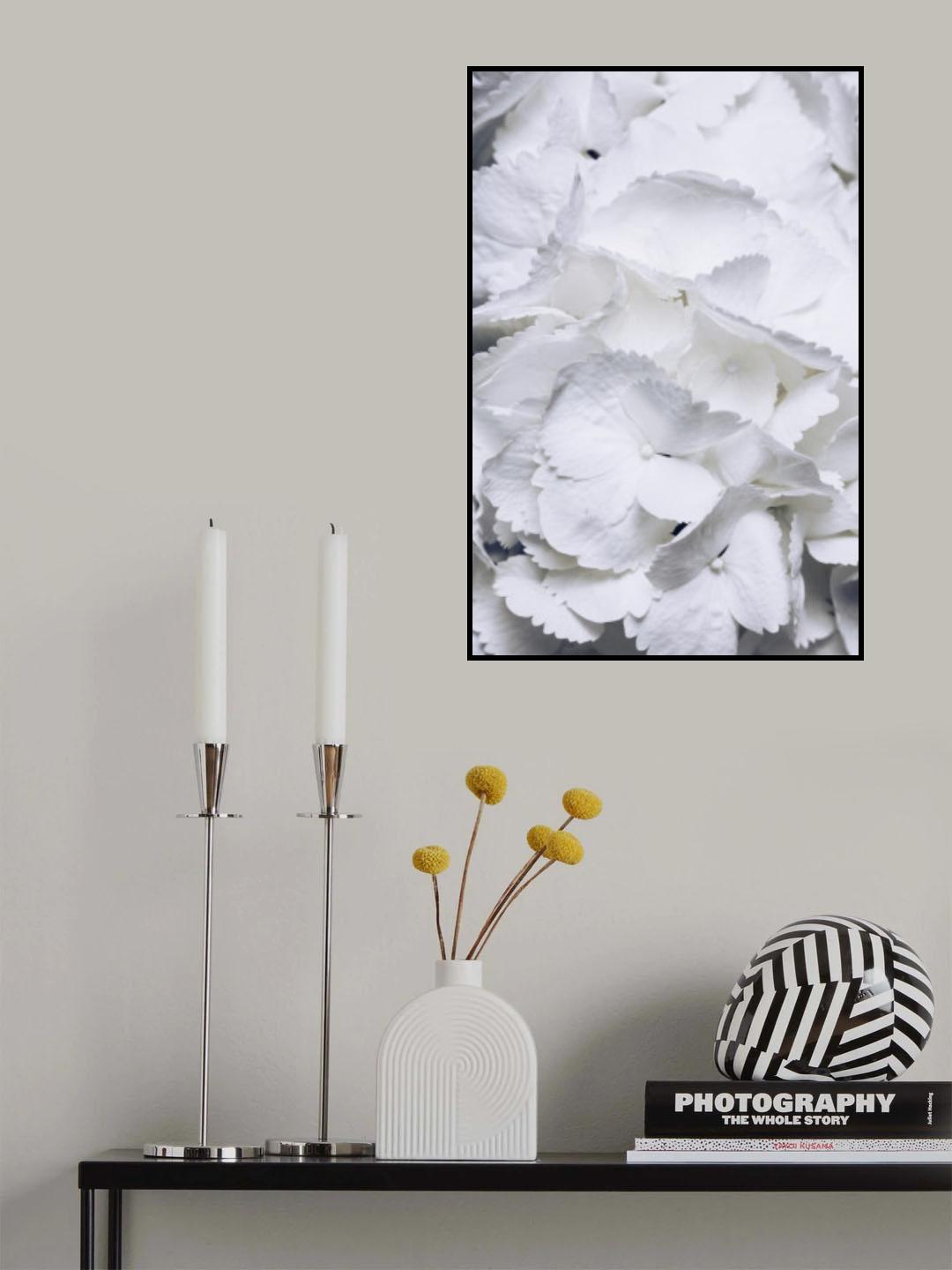 Lovely Wings - White Hydrangea Poster och Canvastavla