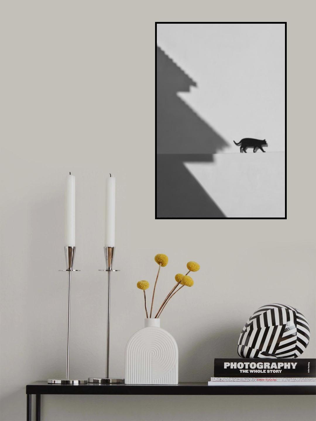 Black cat Poster och Canvastavla