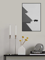 Black cat Poster och Canvastavla