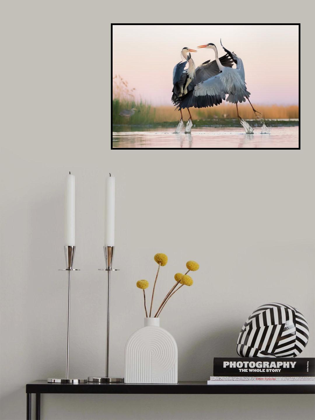 Confrontation Poster och Canvastavla
