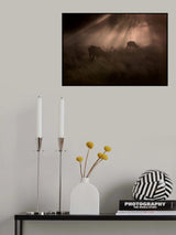 Morning... Poster och Canvastavla