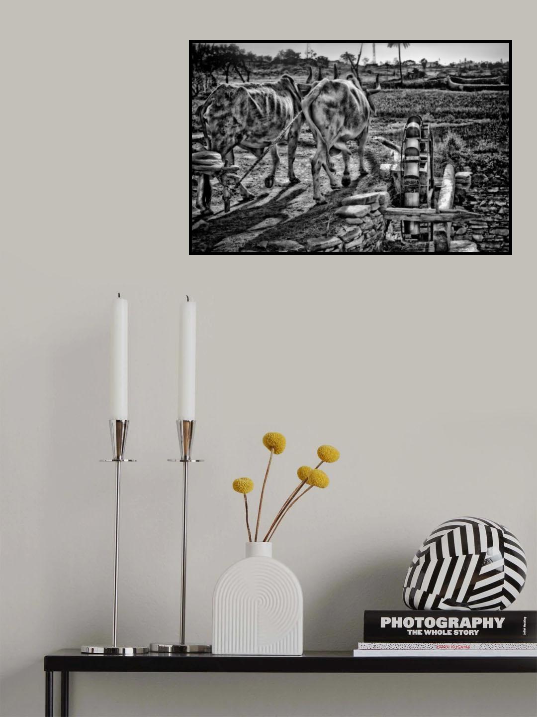 irrigation Poster och Canvastavla