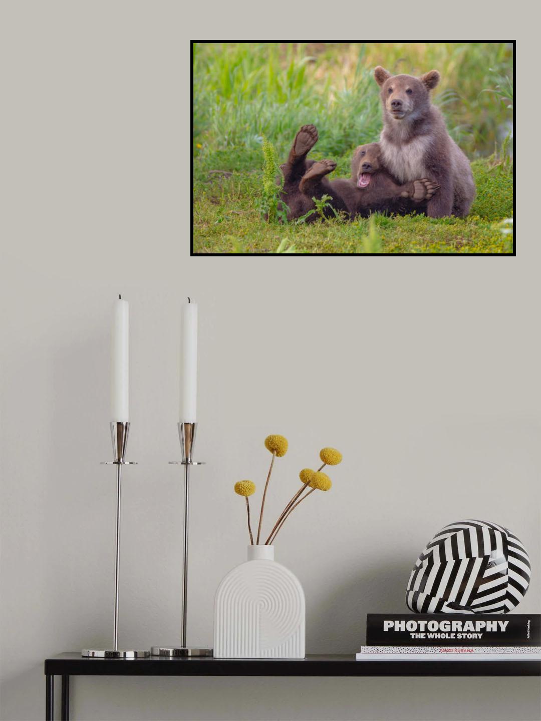 Bear games Poster och Canvastavla