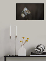 Poster och Canvastavla