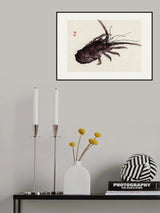 Crayfish Poster och Canvastavla
