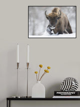 Rewilded Poster och Canvastavla