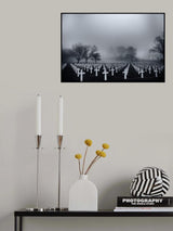 Why? Poster och Canvastavla