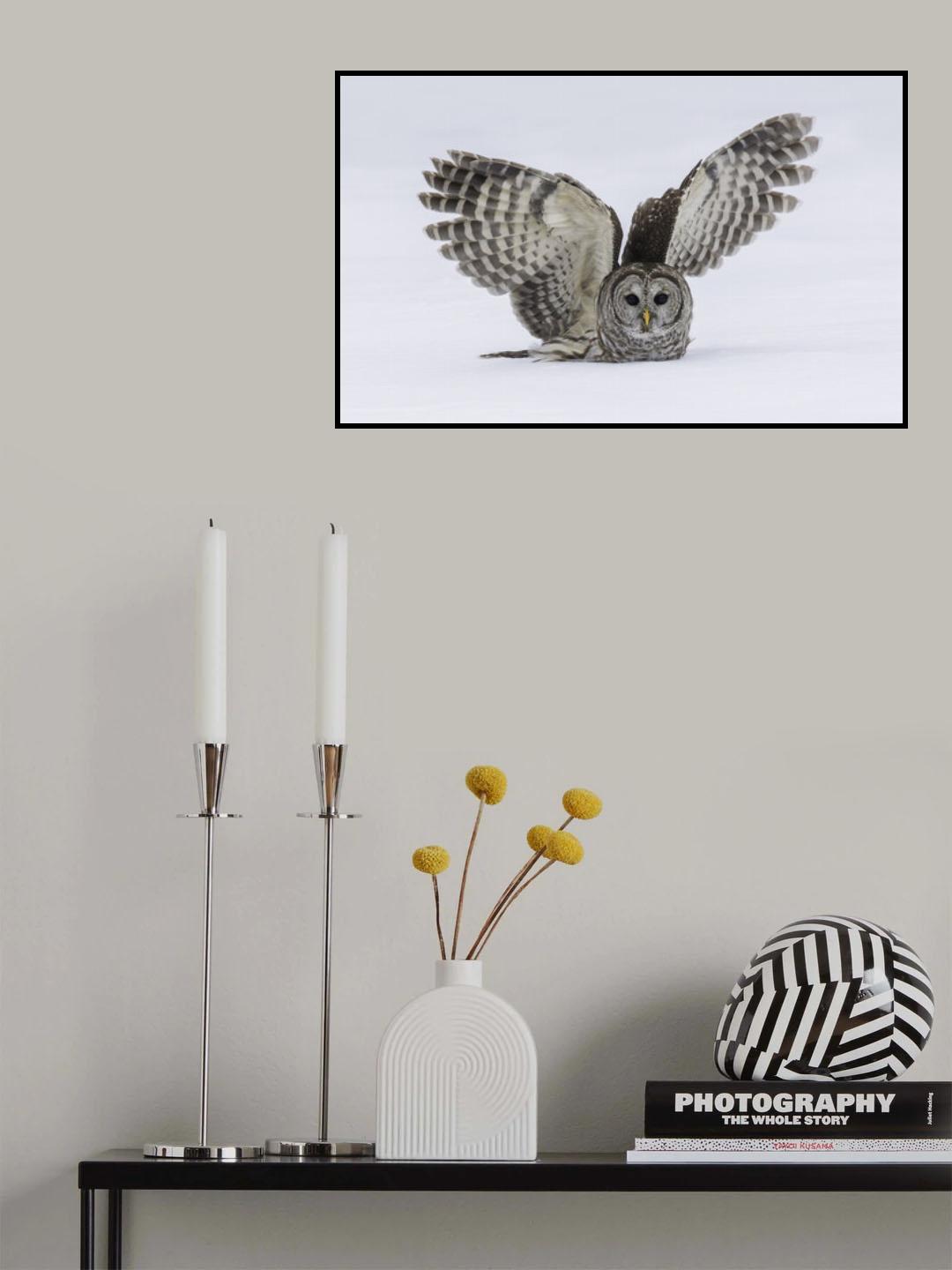 How do you like my wings Poster och Canvastavla