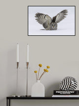 How do you like my wings Poster och Canvastavla