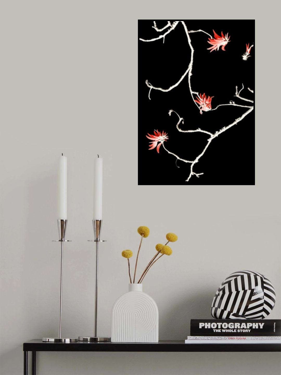 Coral Tree Poster och Canvastavla