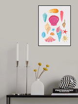 Seashells Poster och Canvastavla