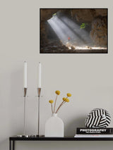 Bathing in sunlight Poster och Canvastavla
