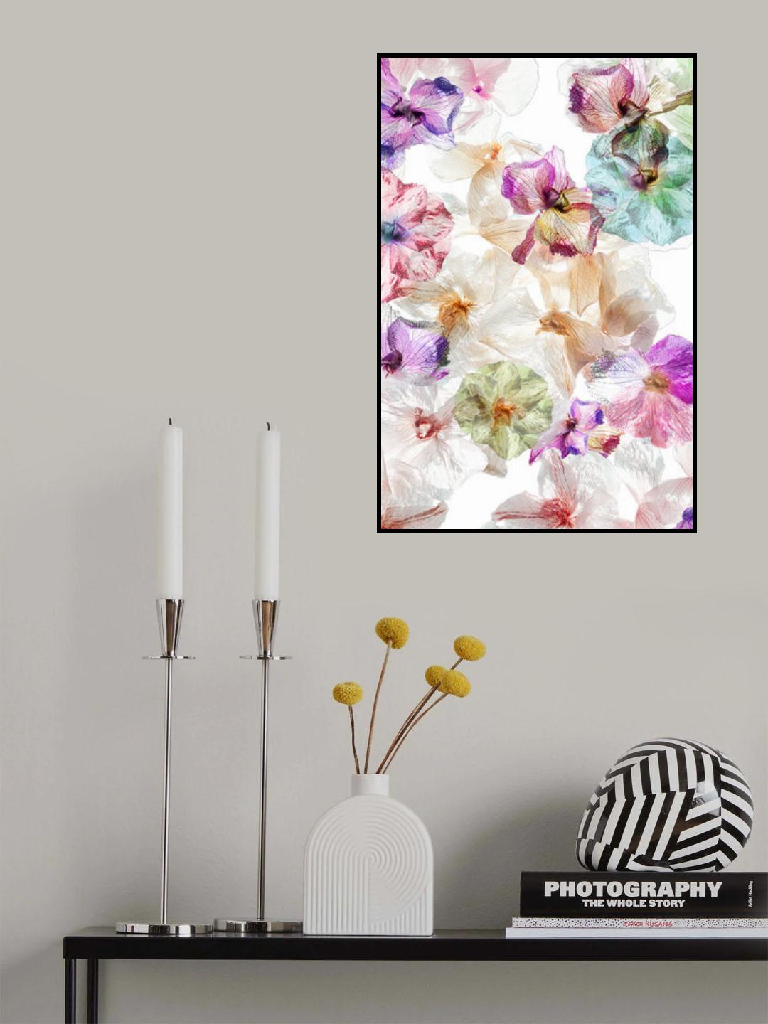 Ghost orchids Poster och Canvastavla