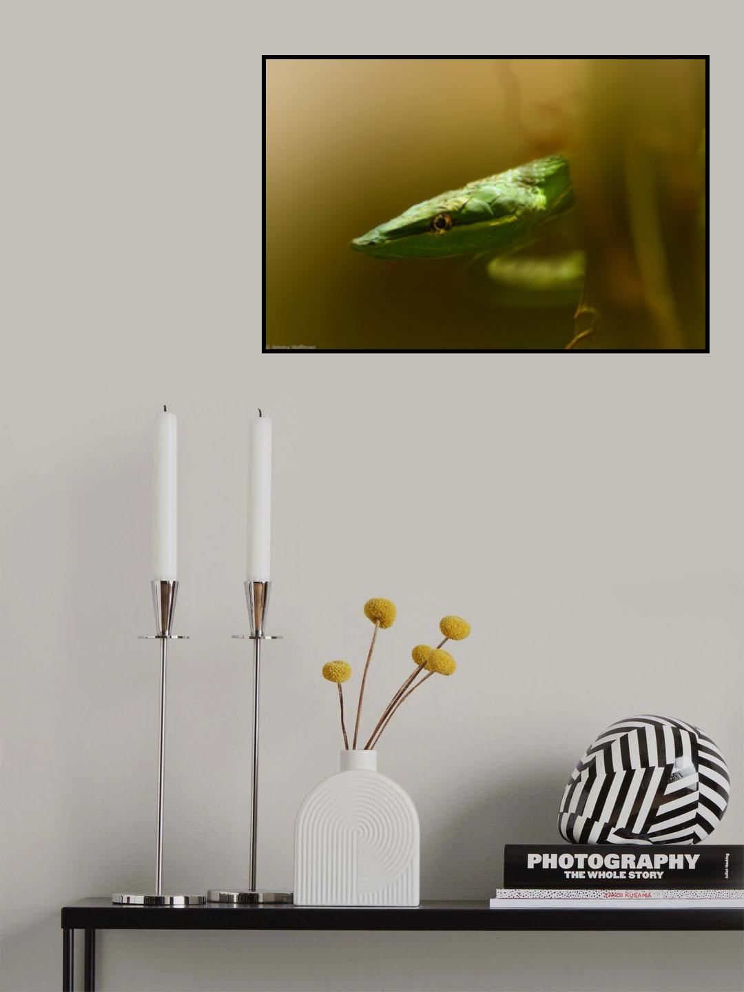 Sneaky Poster och Canvastavla
